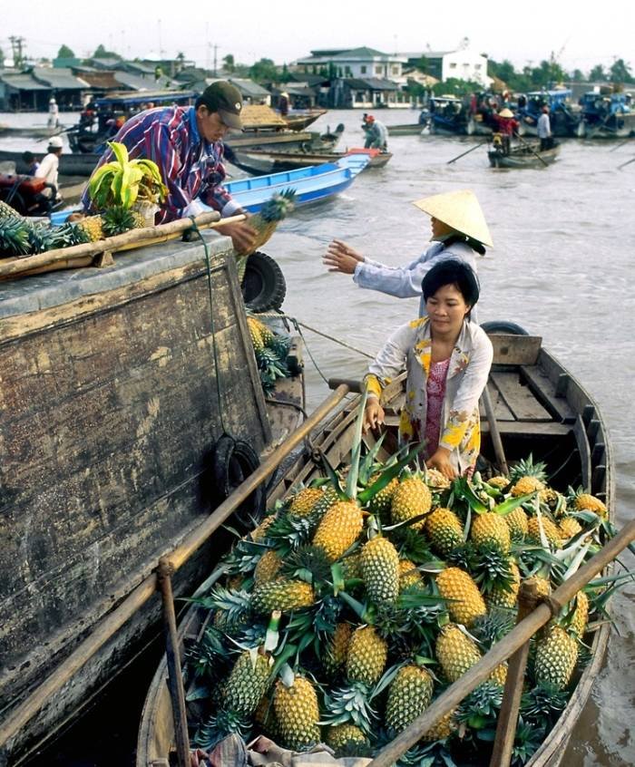 Những vựa trái cây miệt vườn ở Việt Nam