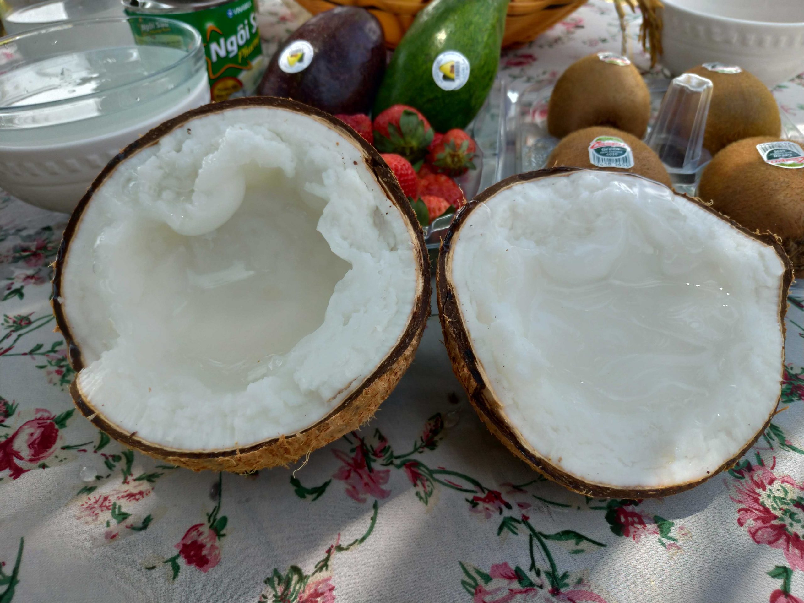 Dừa sáp Trà Vinh-loại dừa đặc biệt ai cũng nên một lần nếm thử