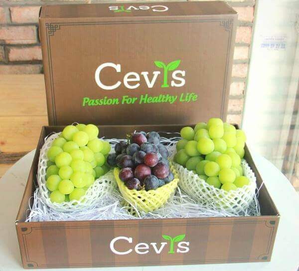 trái cây nhập khẩu Cevis