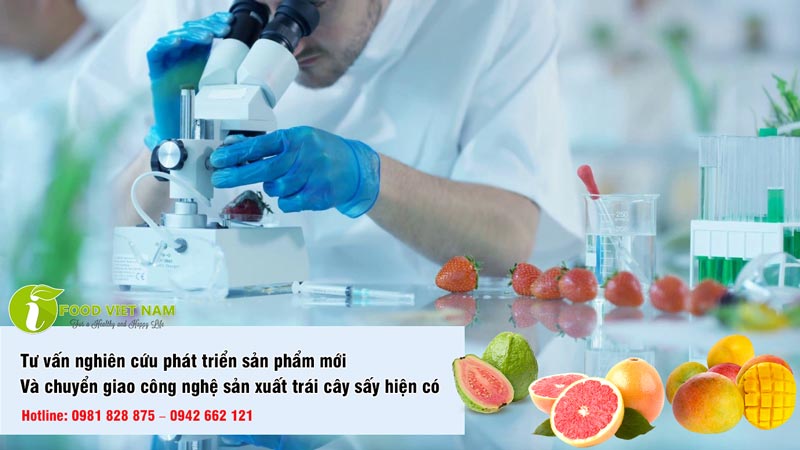tư vấn nghiên cứu phát triển sản phẩm mới toàn diện và chuyển giao công nghệ sản xuất trái cây sấy