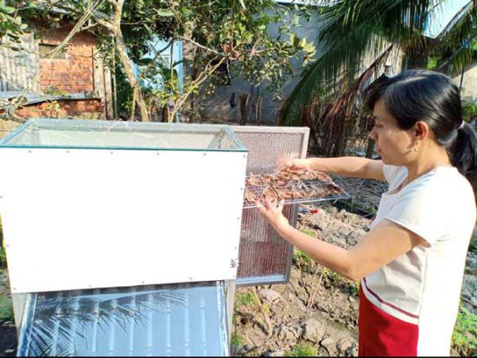 Cô giáo Thảo tự chế máy sấy nông sản bằng năng lượng mặt trời